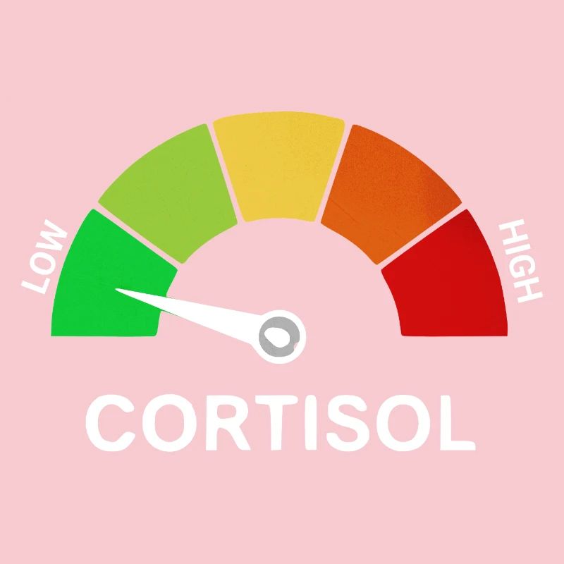 Échelle de cortisol bas