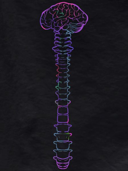 physiotherapist