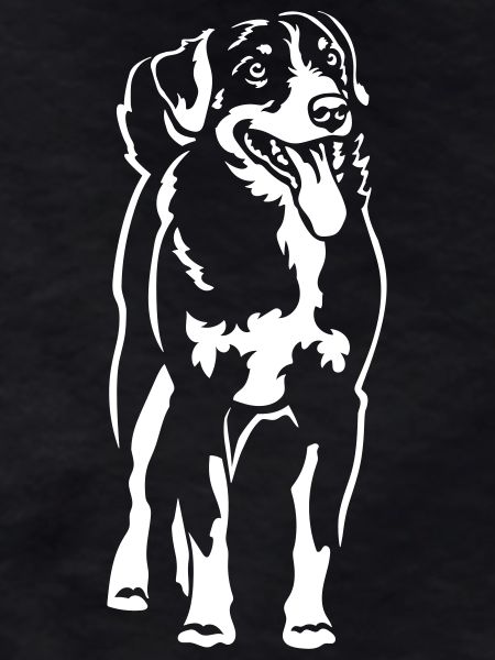 Appenzeller Sennenhund "Black Edition"