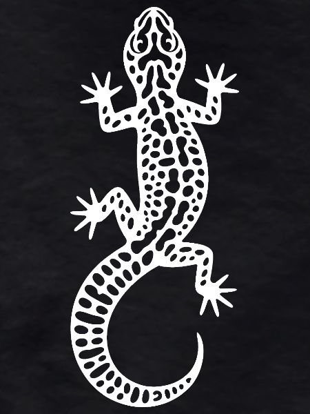 Gecko Muster in Kontrast