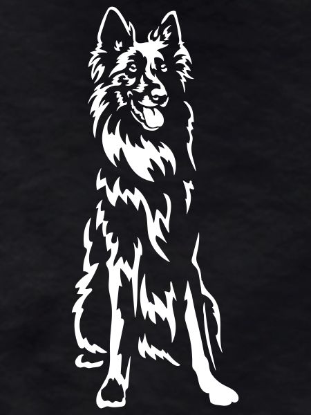 Groenendael "Black Edition"