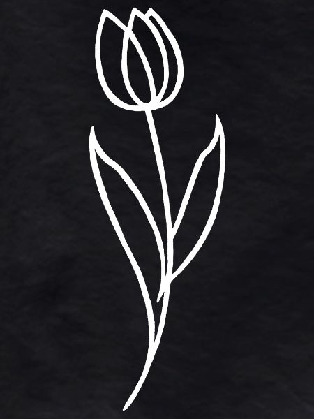 Sketch of a White Flower