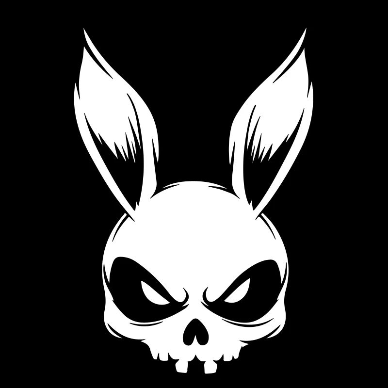 Rabbit Skull Skeleton