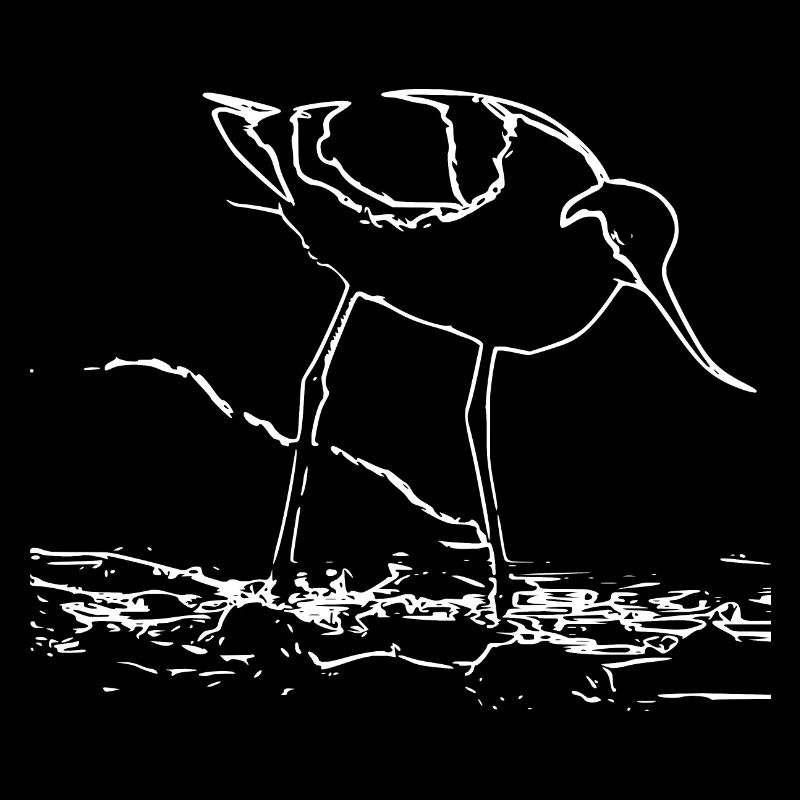 Avocettes