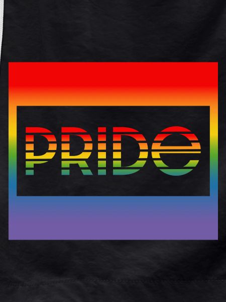 Pride frame
