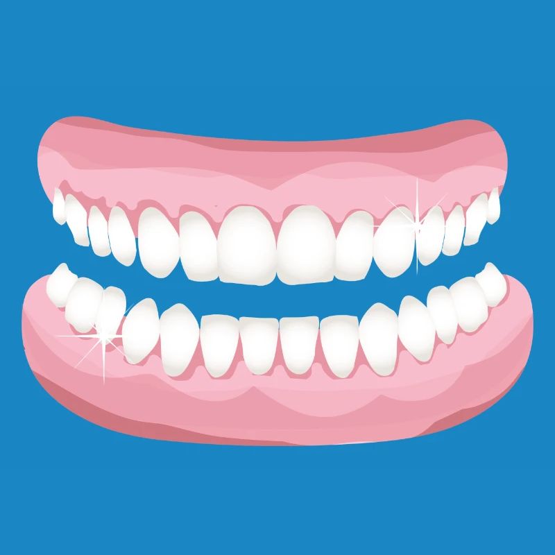 bright teeth with sparkling clean teeth