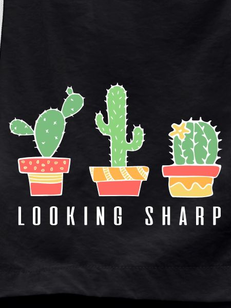 Looking Sharp Cactus