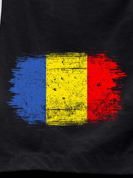 Brushstroke Romanian Flag