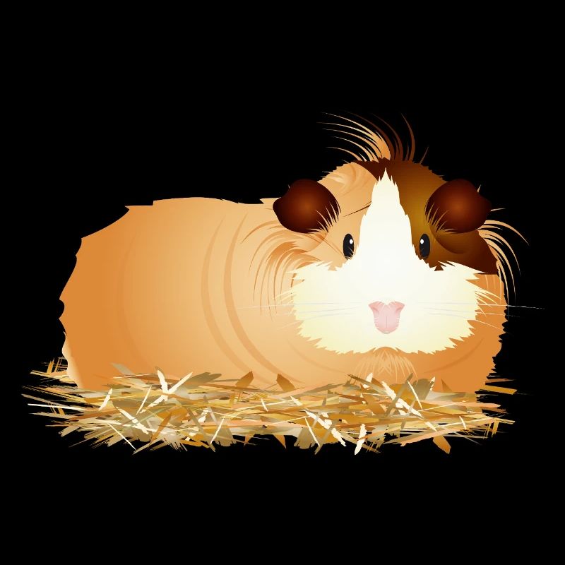 Cute guinea pig lying comfortably in the straw