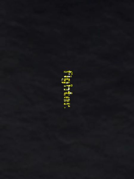 fighter. camouflage yellow