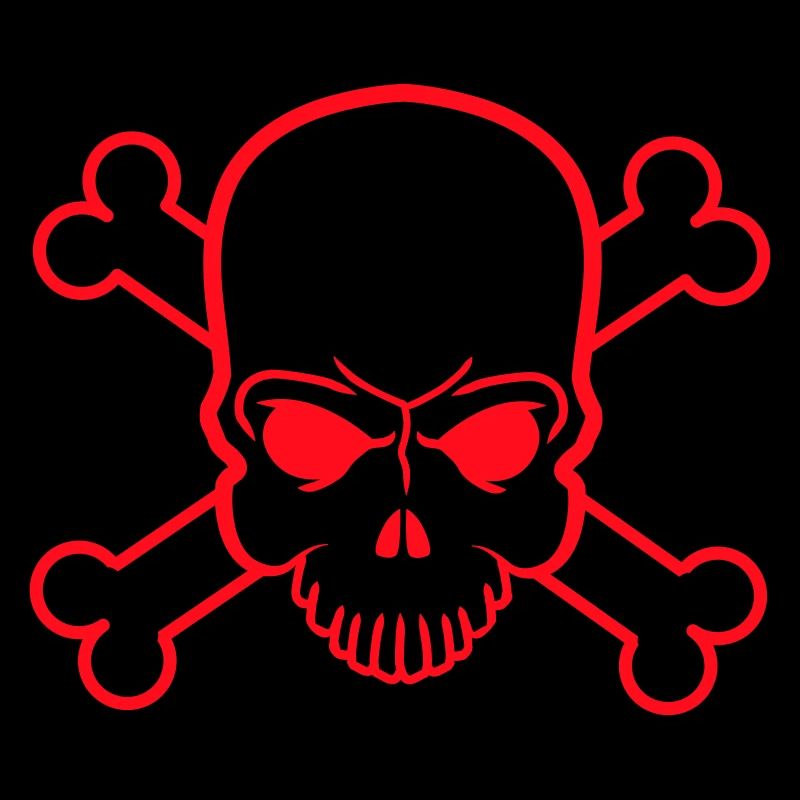 Pirate Symbol Skull Skull Bone Skeleton