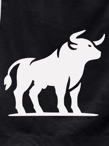 Bull Animal
