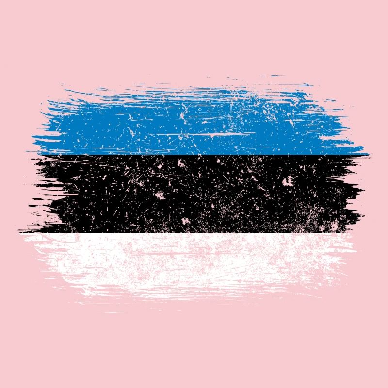 Drapeau à coups de pinceau bleu-blanc