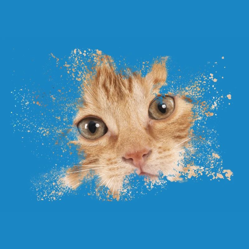 Chat orange avec éclaboussure d’aquarelle