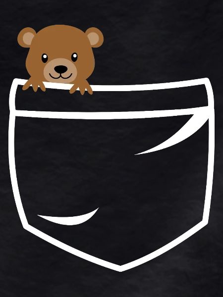 Teddy bear pockets