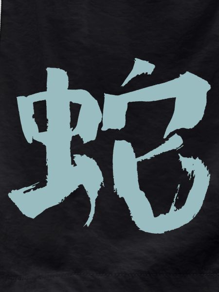 Snake (Chinese character) Zodiac