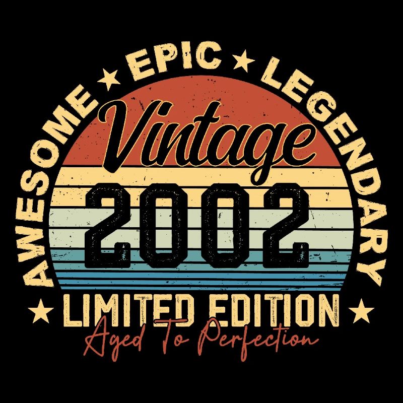 Retro 2002 Vintage Birthday 2002 Gift 2002