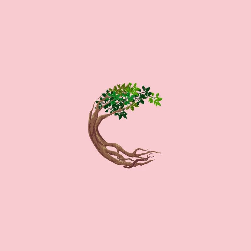 Round Tree Circular World Tree