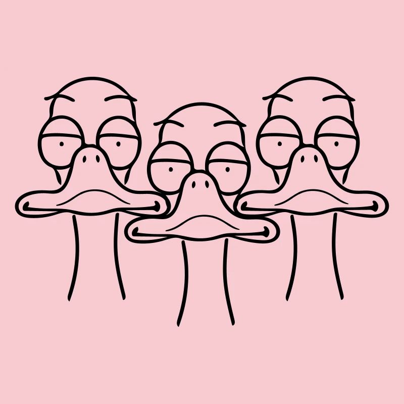 Three funny ducks