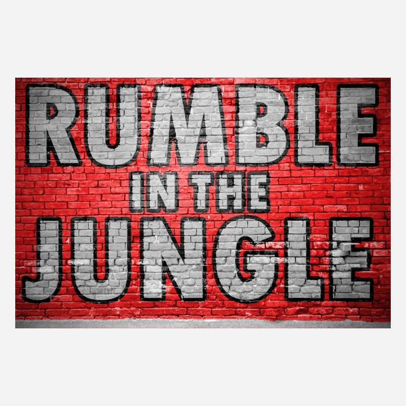 Rumble in the Jungle Brick Wall Graffiti