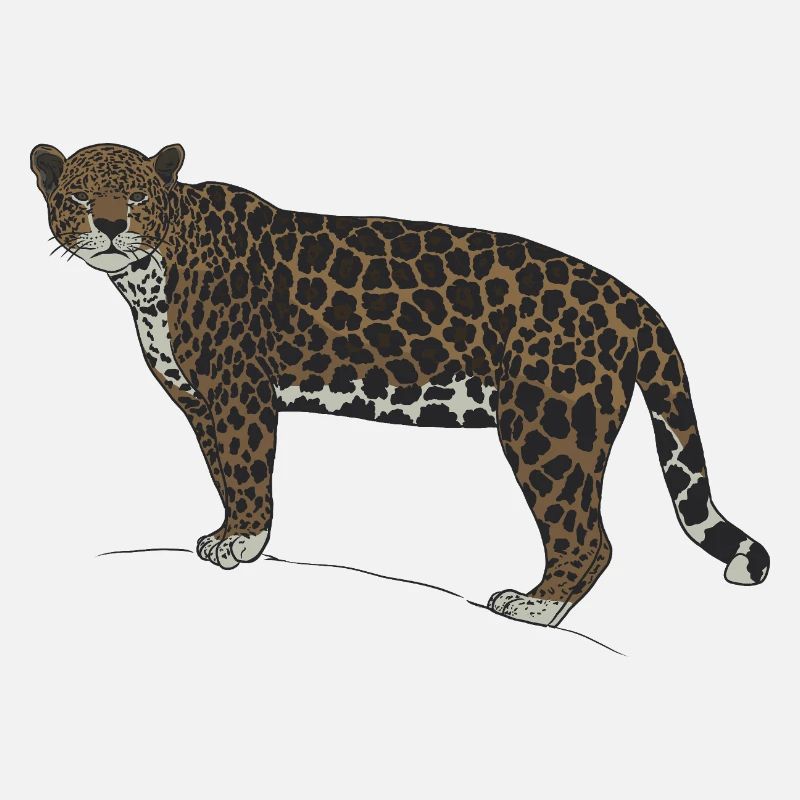 Regard du jaguar