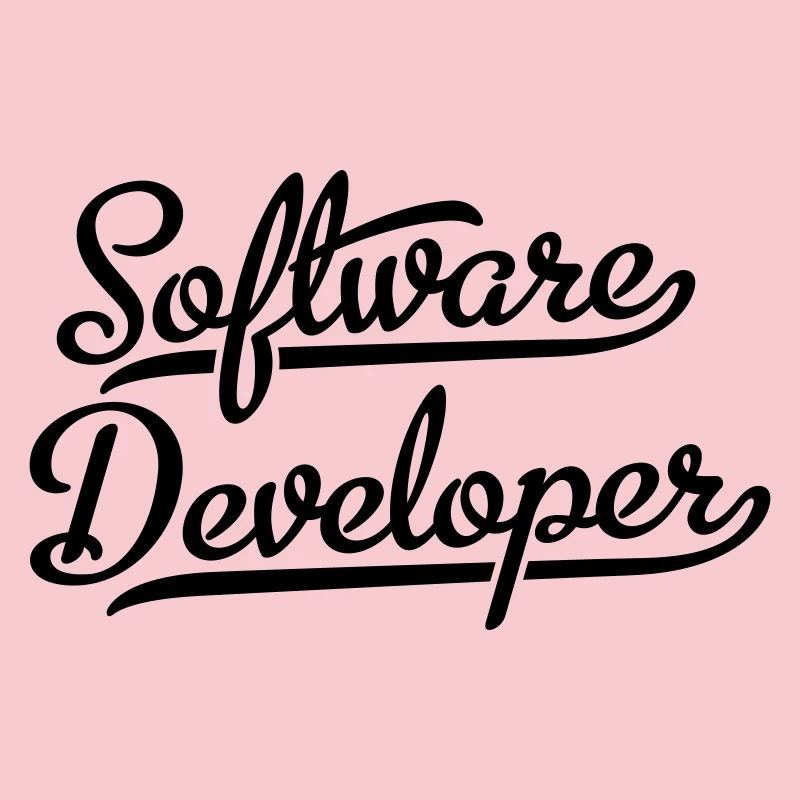 Software Developer