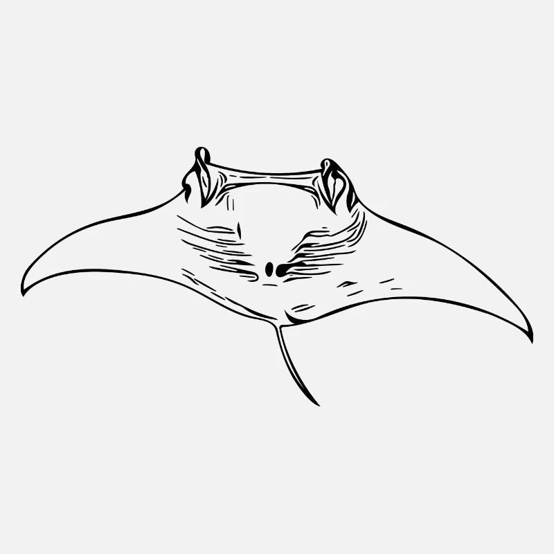 Manta rays gliding through water