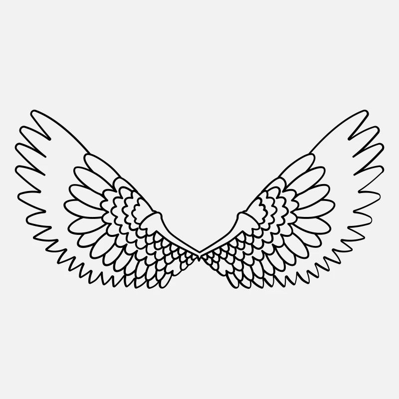 Ailes ouvertes avec des plumes