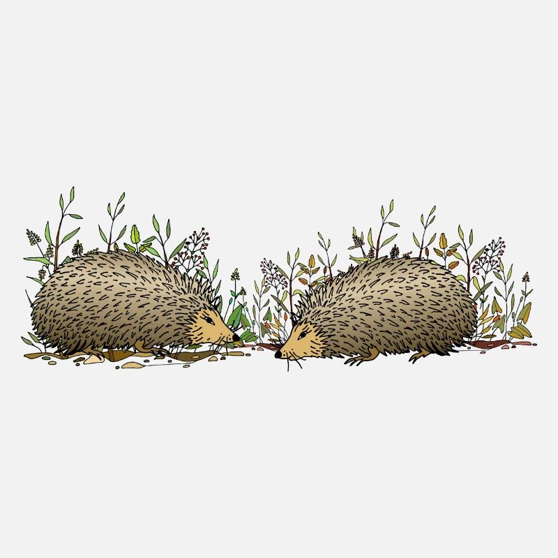Hedgehogs