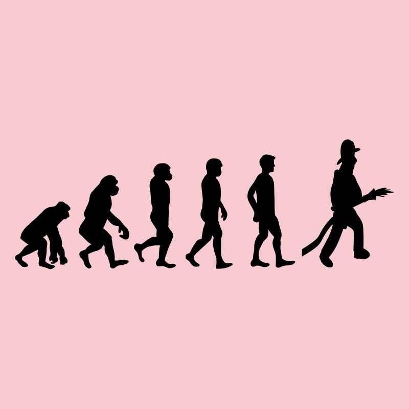 Fire evolution