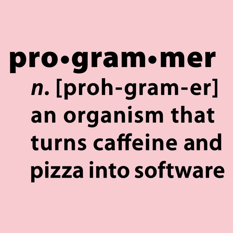 Programmdefinition - die Definition Programmer