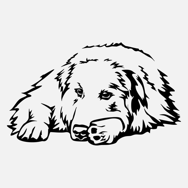 Pyrenees mountain dog