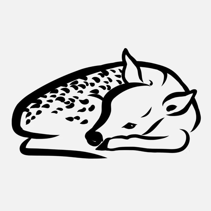 Fawn lying down