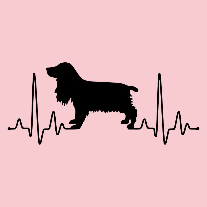 Cocker Spaniel Plus