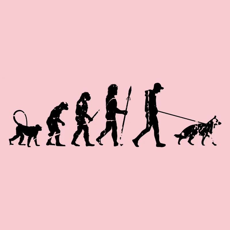 Deutscher Schäferhund Evolution