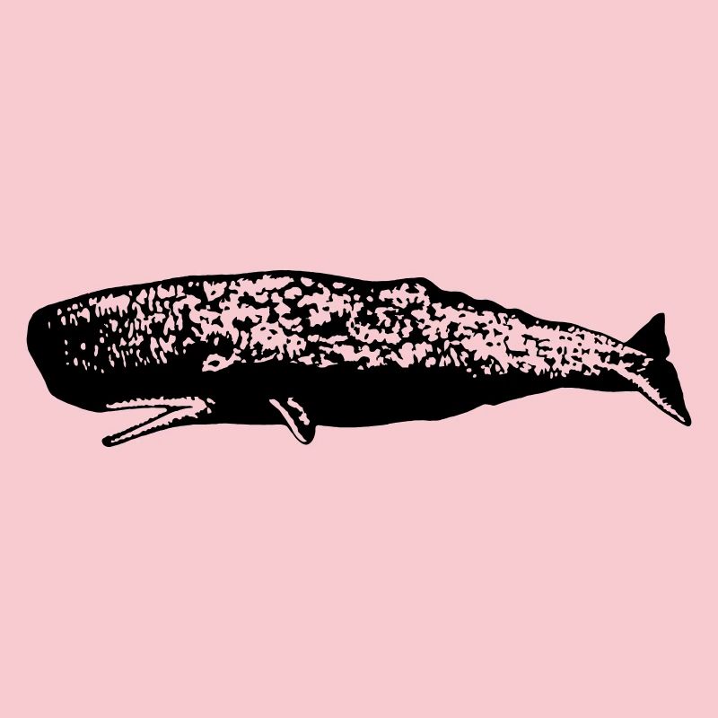 Sperm whale
