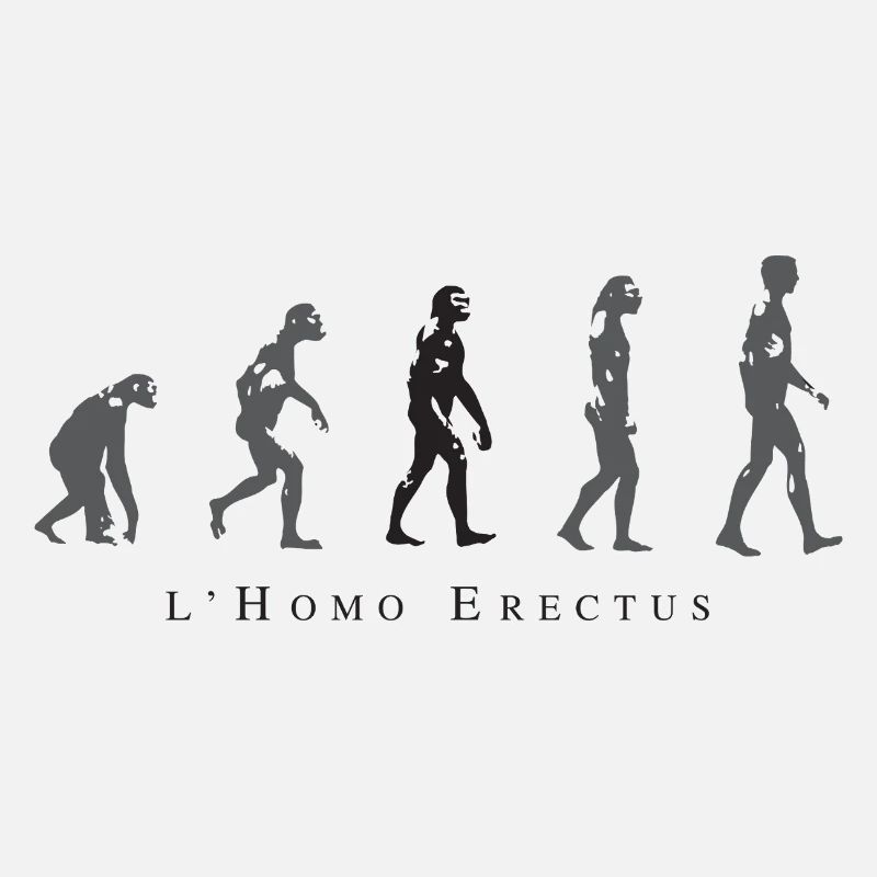 Évolution de la Position Humaine
