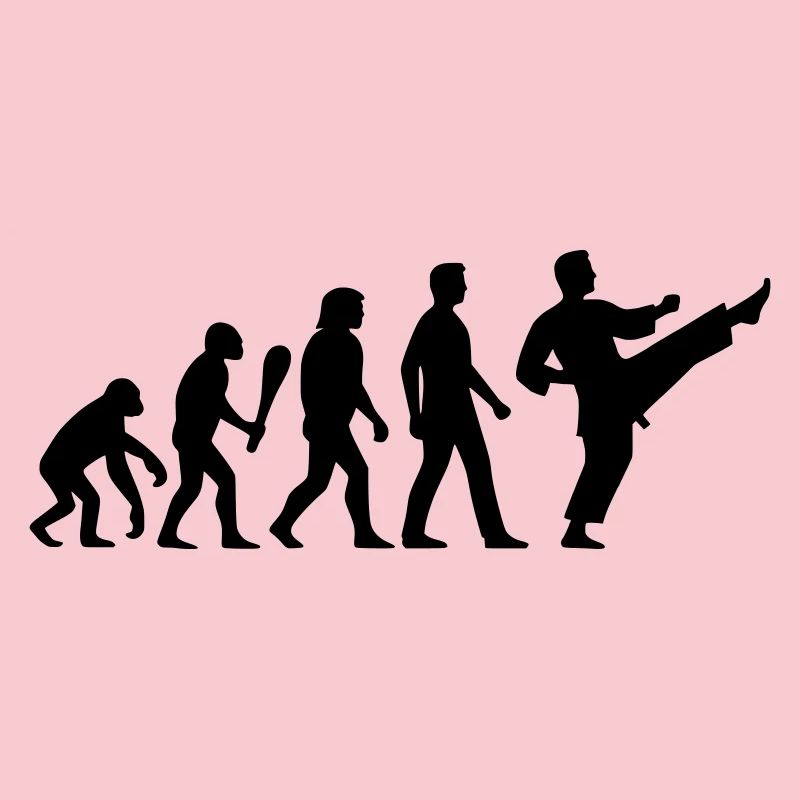 Karaté Évolution