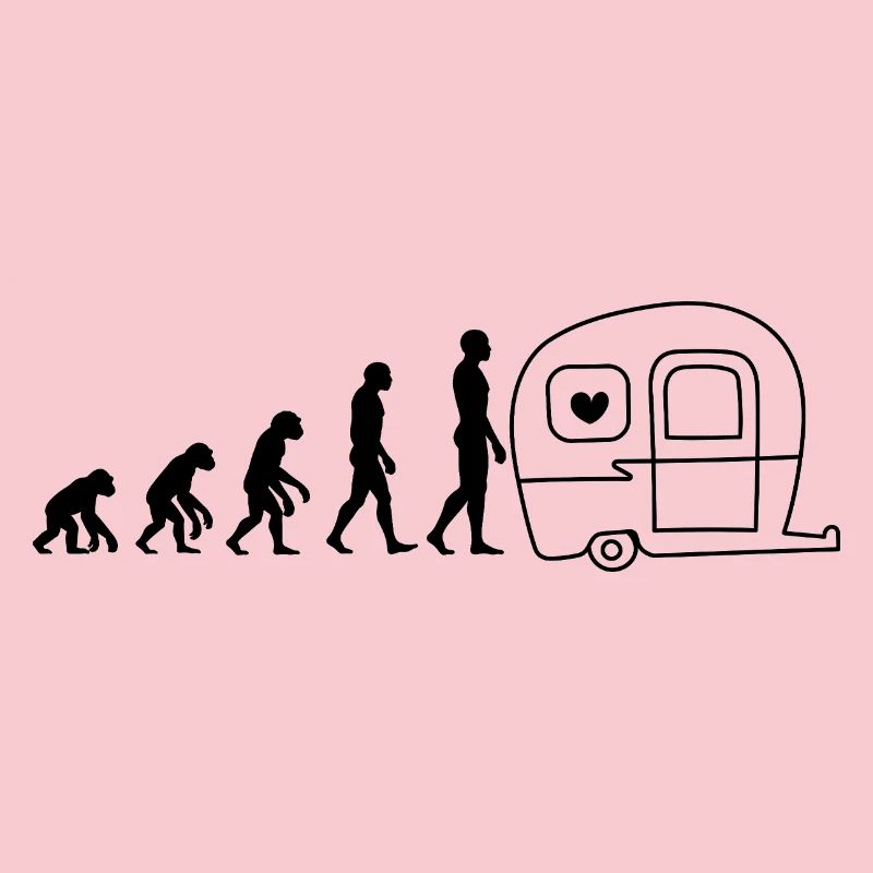 CAMPING EVOLUTION ! CAMPING-CAR DE LA VIE EN VANS