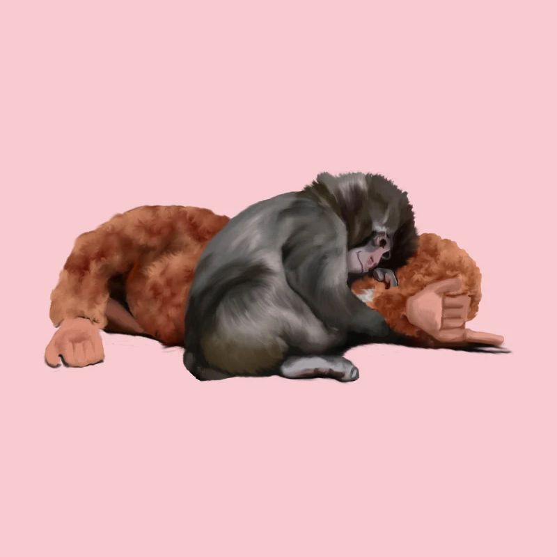 Punch - the monkey