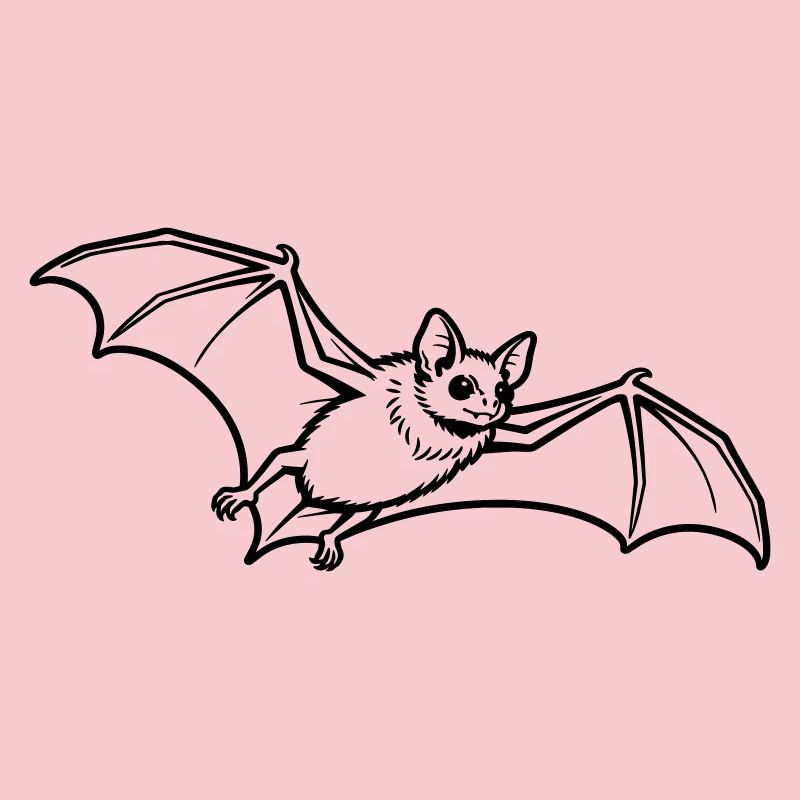 chauve-souris