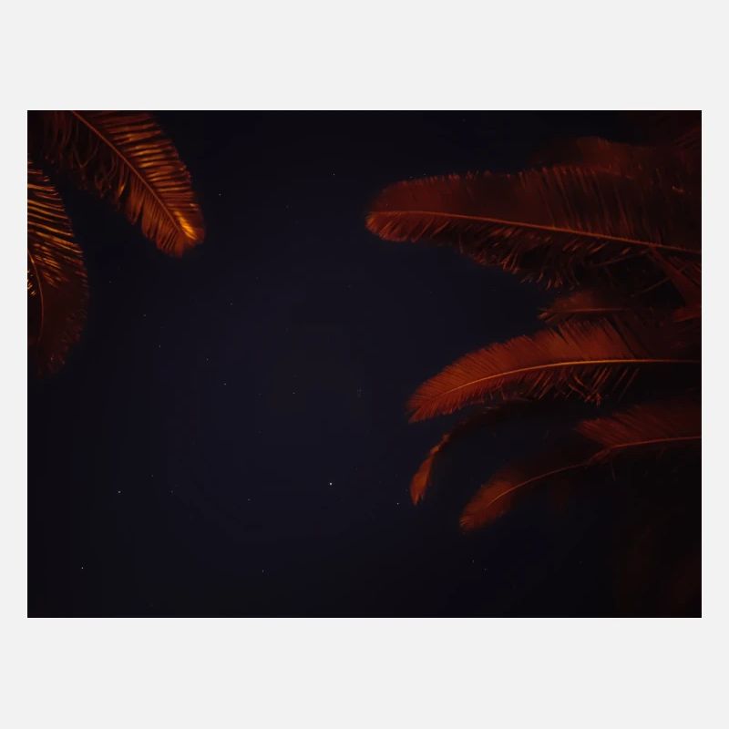 Palm leaves