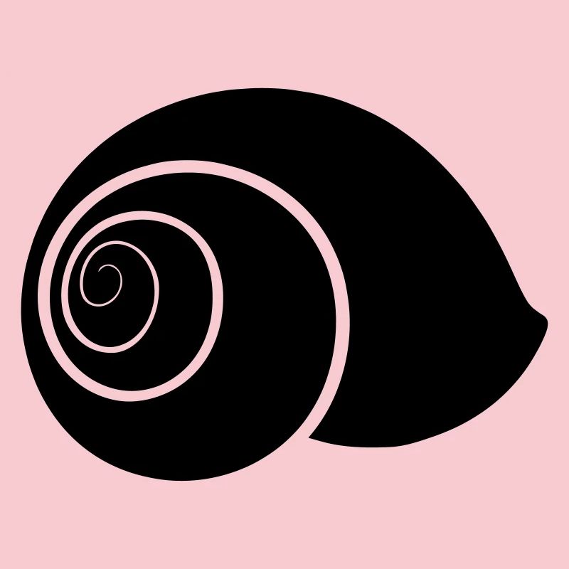 SNAILCASE
