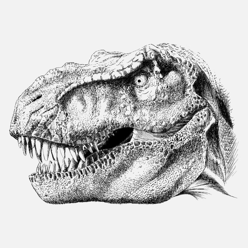 Dinosaur 