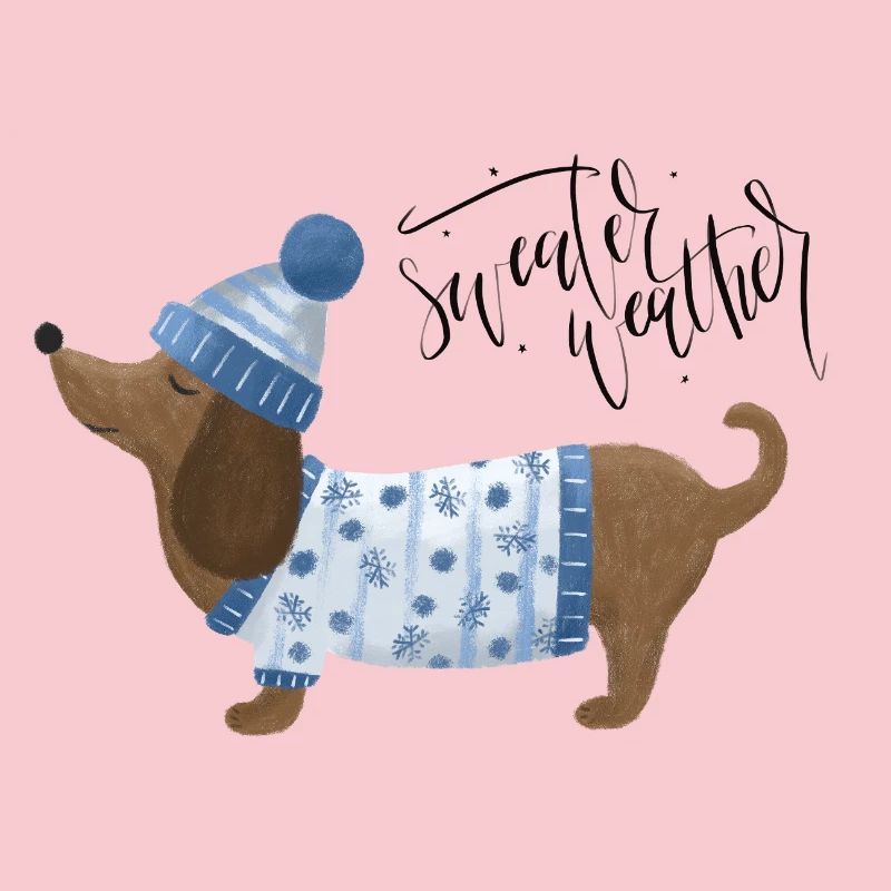 Teckel avec pull et chapeau Pull Météo bleu