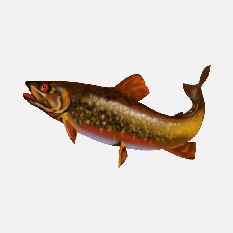 fish