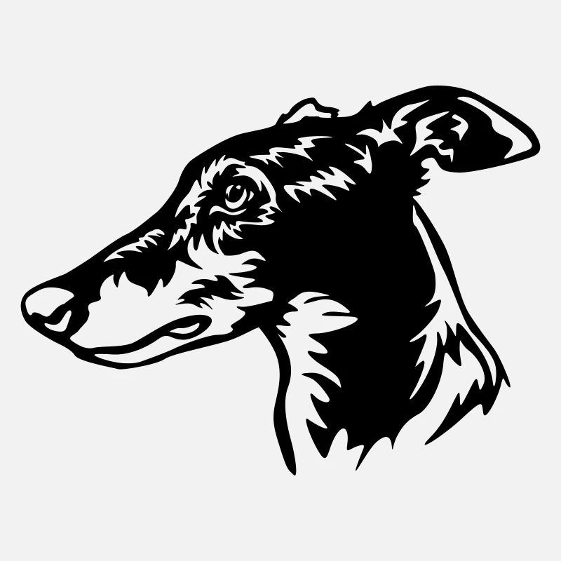 Greyhound Kopf