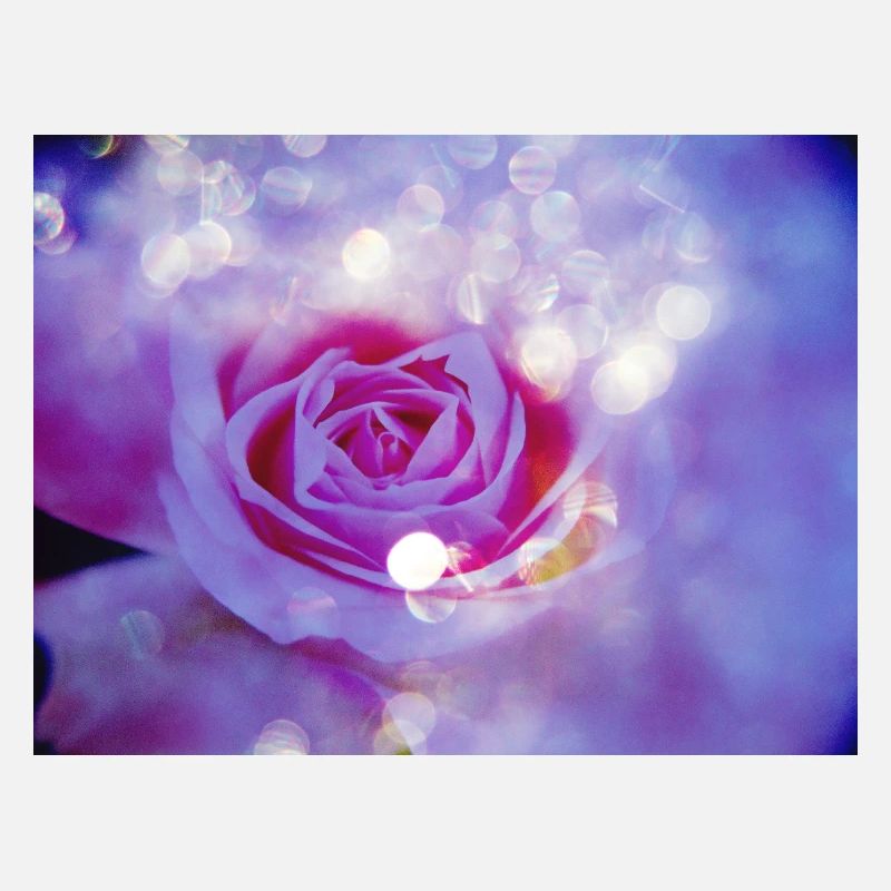 Rose's bright multiple exposure