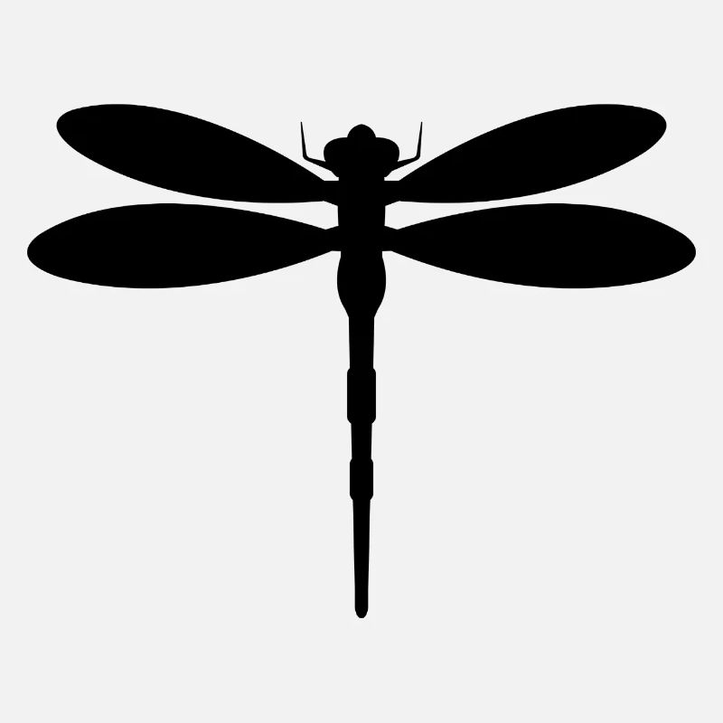 Libellule