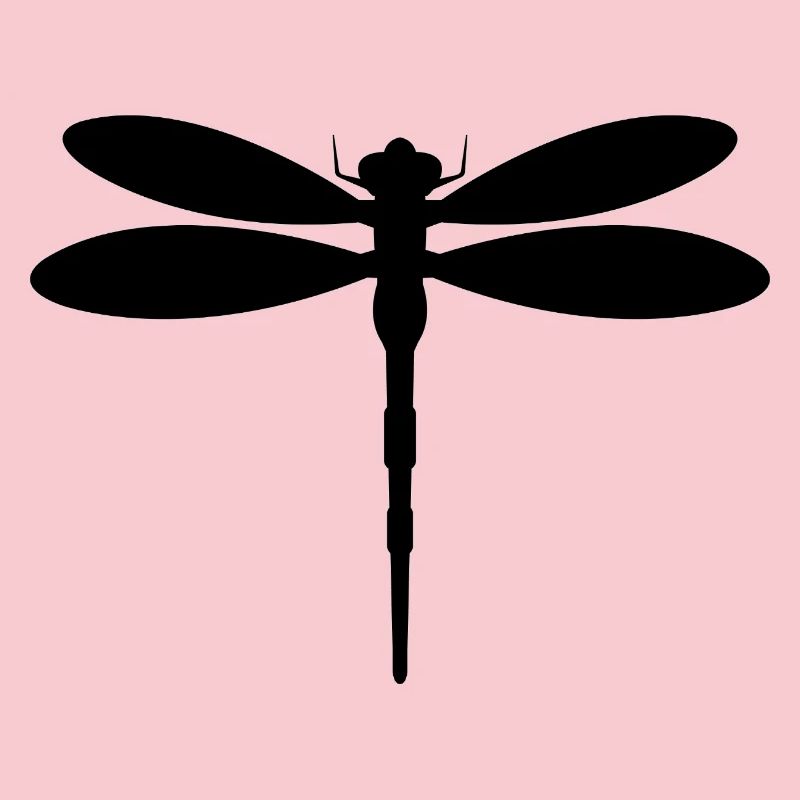 Libellule